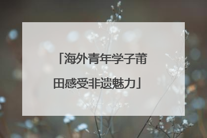 海外青年学子莆田感受非遗魅力