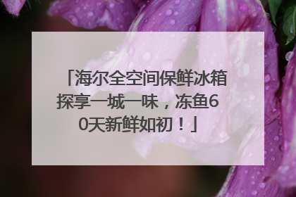 海尔全空间保鲜冰箱探享一城一味，冻鱼60天新鲜如初！