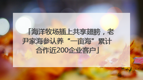 海洋牧场插上共享翅膀，老尹家海参认养“一亩海”累计合作近200企业客户