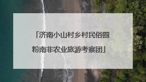 济南小山村乡村民俗圈粉南非农业旅游考察团