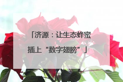 济源：让生态蜂蜜插上“数字翅膀”