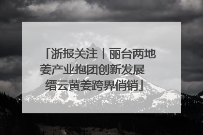 浙报关注丨丽台两地姜产业抱团创新发展 缙云黄姜跨界俏销