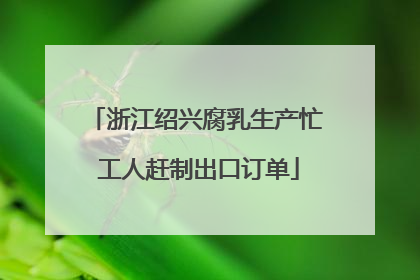 浙江绍兴腐乳生产忙 工人赶制出口订单