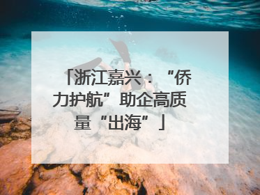 浙江嘉兴：“侨力护航”助企高质量“出海”