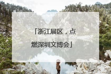 浙江展区，点燃深圳文博会