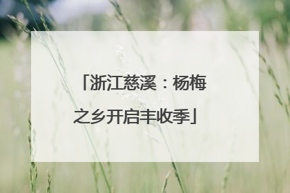 浙江慈溪：杨梅之乡开启丰收季