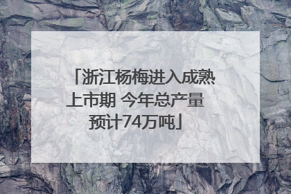 浙江杨梅进入成熟上市期 今年总产量预计74万吨