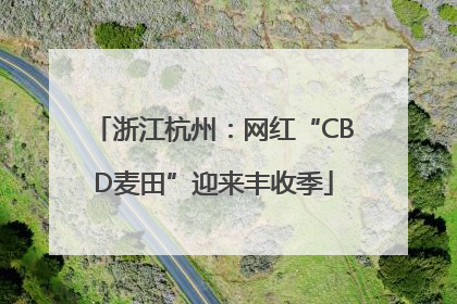 浙江杭州：网红“CBD麦田”迎来丰收季