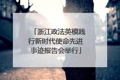 浙江政法英模践行新时代使命先进事迹报告会举行