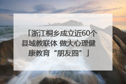 浙江桐乡成立近60个县域教联体 做大心理健康教育“朋友圈”