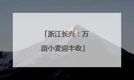 浙江长兴：万亩小麦迎丰收