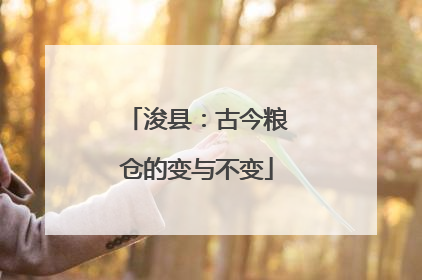 浚县：古今粮仓的变与不变