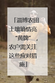淄博农田土壤墒情亮“黄牌”，农户需关注这些应对措施