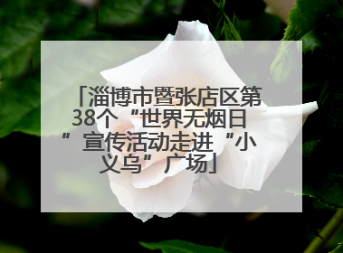 淄博市暨张店区第38个“世界无烟日”宣传活动走进“小义乌”广场