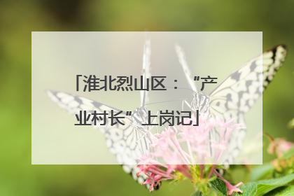 淮北烈山区：“产业村长”上岗记