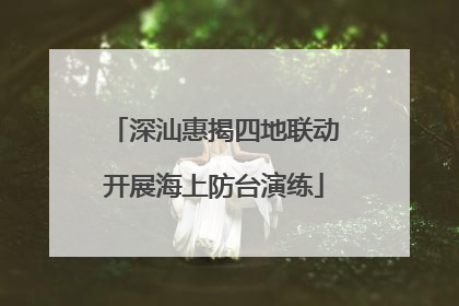 深汕惠揭四地联动开展海上防台演练