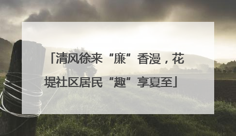 清风徐来“廉”香漫，花堤社区居民“趣”享夏至