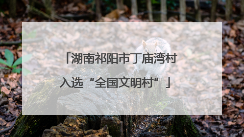 湖南祁阳市丁庙湾村入选“全国文明村”