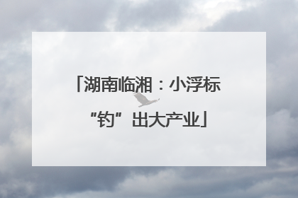 湖南临湘：小浮标“钓”出大产业