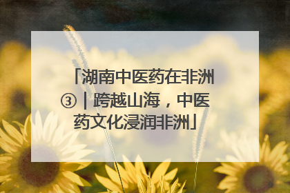 湖南中医药在非洲③｜跨越山海，中医药文化浸润非洲