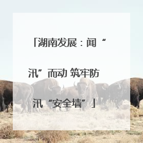 湖南发展：闻“汛”而动 筑牢防汛“安全墙”