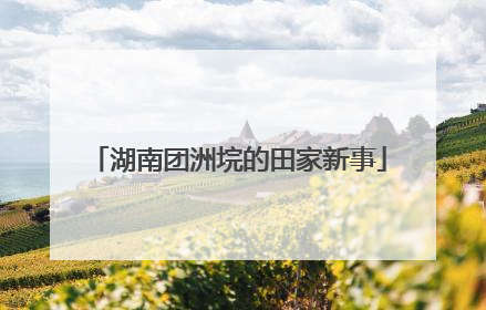 湖南团洲垸的田家新事
