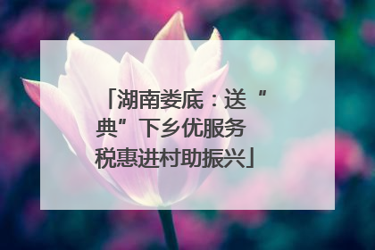 湖南娄底：送“典”下乡优服务 税惠进村助振兴