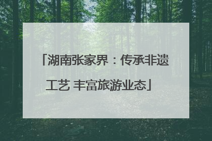 湖南张家界：传承非遗工艺 丰富旅游业态