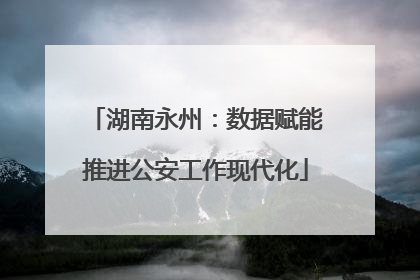 湖南永州：数据赋能推进公安工作现代化