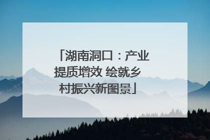 湖南洞口：产业提质增效 绘就乡村振兴新图景