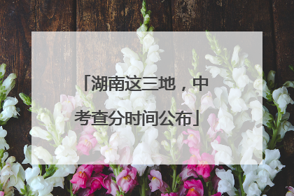 湖南这三地，中考查分时间公布