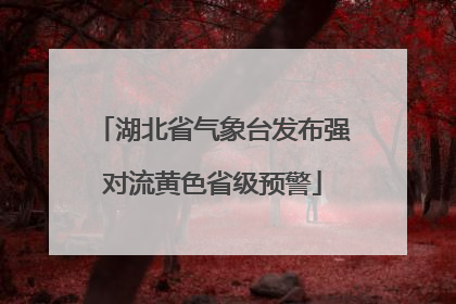 湖北省气象台发布强对流黄色省级预警
