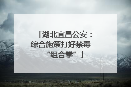 湖北宜昌公安：综合施策打好禁毒“组合拳”