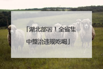 湖北部署！全省集中整治违规吃喝