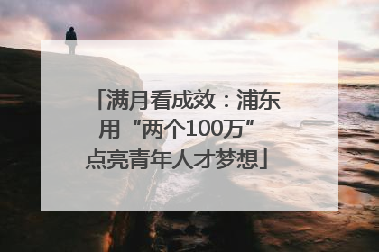 满月看成效：浦东用“两个100万”点亮青年人才梦想