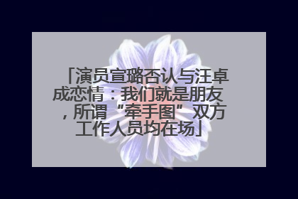 演员宣璐否认与汪卓成恋情：我们就是朋友，所谓“牵手图”双方工作人员均在场