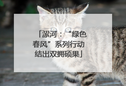 漯河：“绿色春风”系列行动结出双拥硕果
