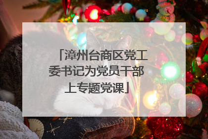 漳州台商区党工委书记为党员干部上专题党课