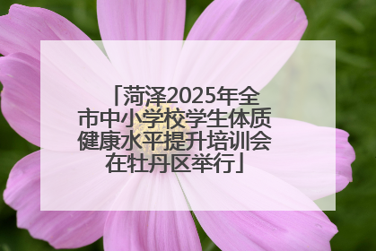 菏泽2025年全市中小学校学生体质健康水平提升培训会在牡丹区举行