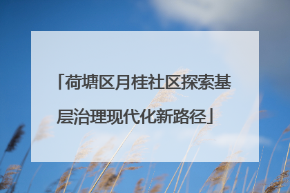 荷塘区月桂社区探索基层治理现代化新路径