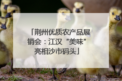 荆州优质农产品展销会：江汉“美味”亮相沙市码头