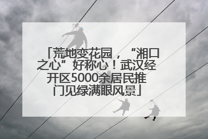 荒地变花园，“湘口之心”好称心！武汉经开区5000余居民推门见绿满眼风景