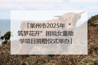 莱州市2025年“筑梦花开”困境女童助学项目捐赠仪式举办