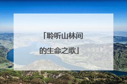 聆听山林间的生命之歌