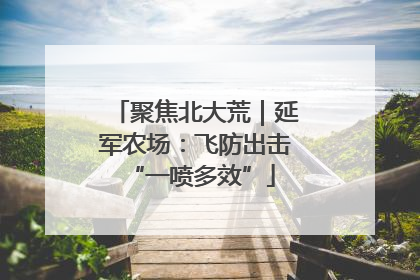 聚焦北大荒｜延军农场：飞防出击 “一喷多效”