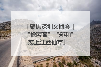 聚焦深圳文博会｜“徐霞客”“郑和”恋上江西仙草