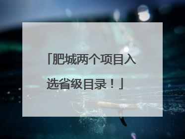 肥城两个项目入选省级目录！