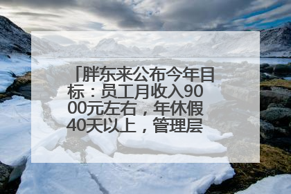胖东来公布今年目标：员工月收入9000元左右，年休假40天以上，管理层人均分配70万元