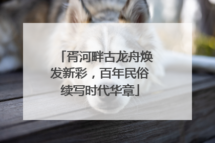胥河畔古龙舟焕发新彩，百年民俗续写时代华章