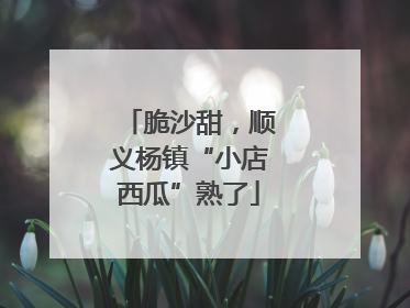 脆沙甜，顺义杨镇“小店西瓜”熟了